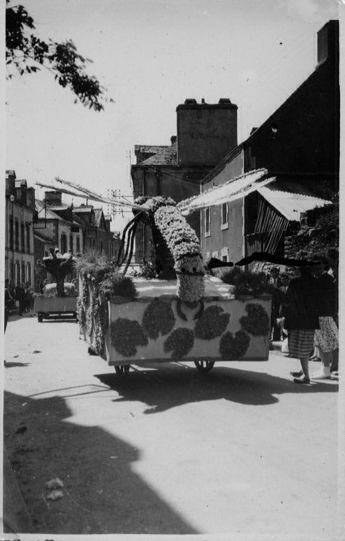 Libellule rue Alain le Grand