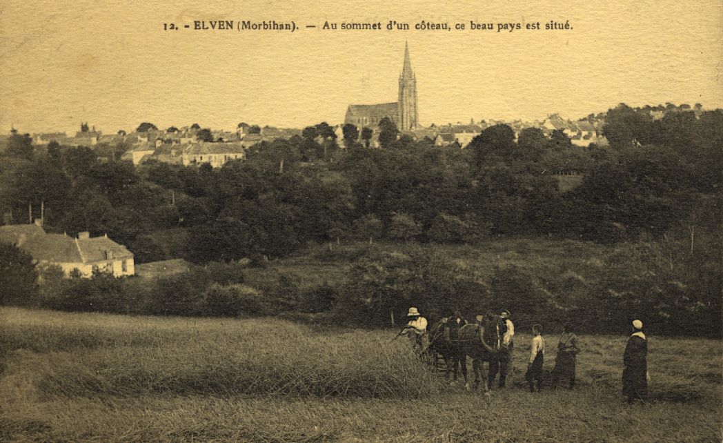 Elven - Vue Gnrale