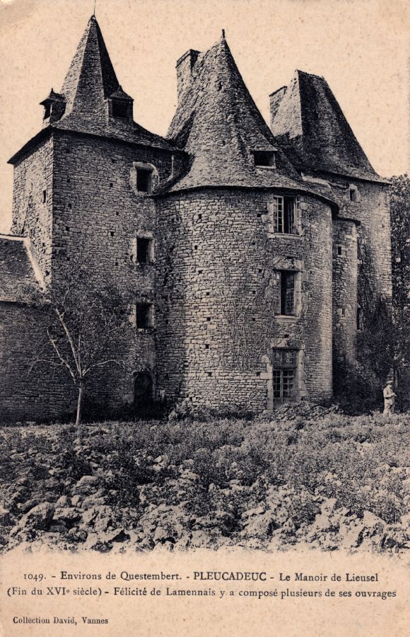 Pleucadeuc - Le Chteau de Lieusel