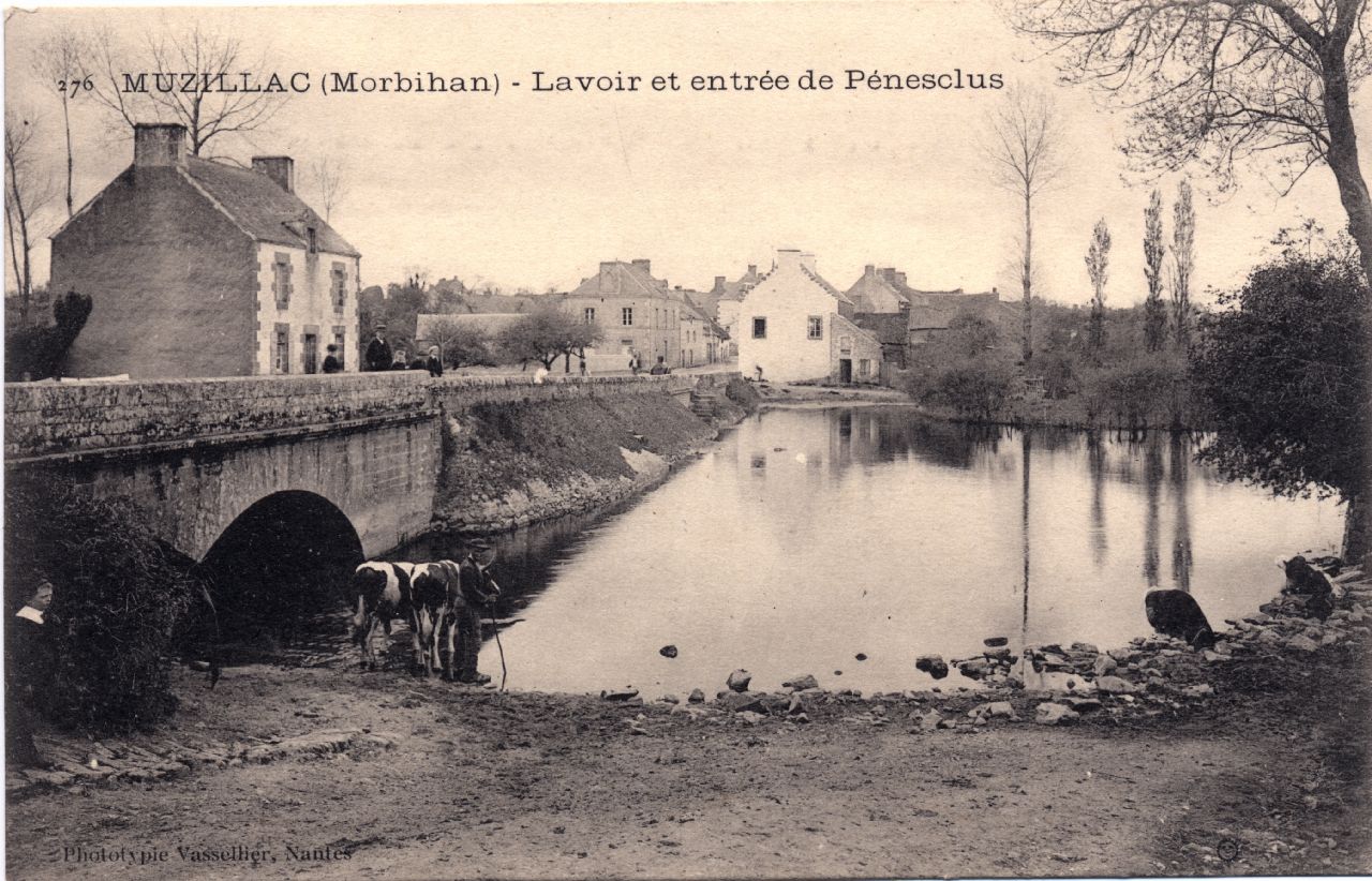 Muzillac - Pnclus