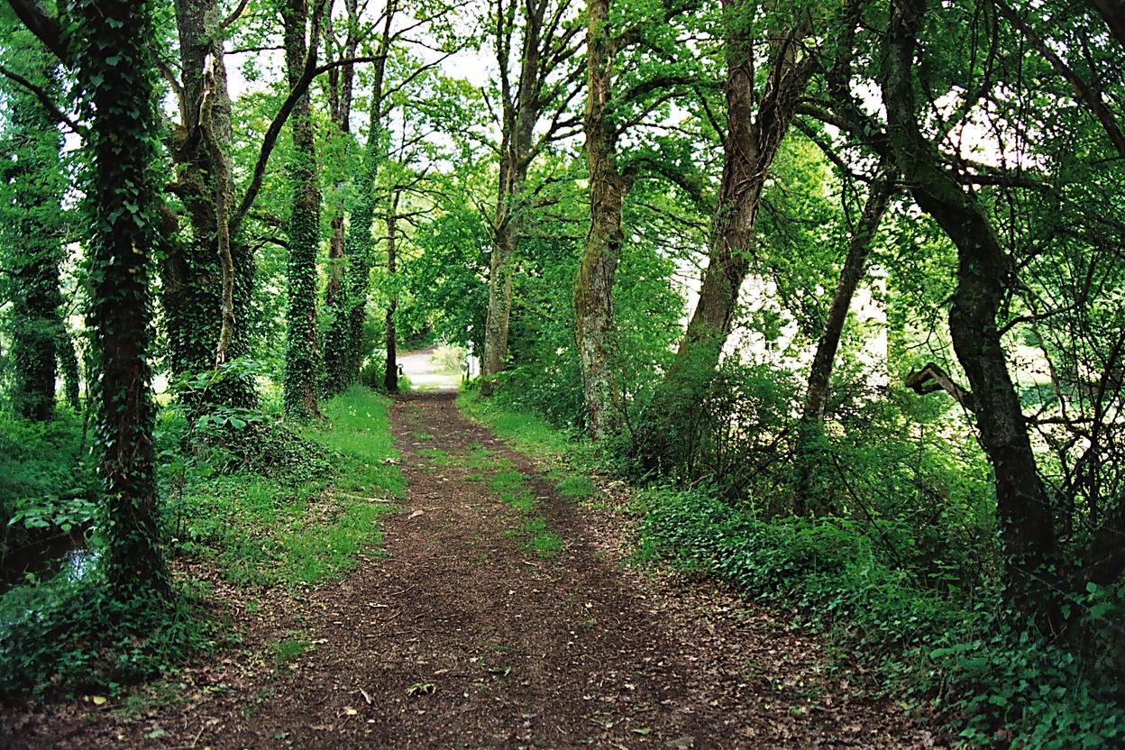 Alle du Moulin Gl (06/2003)