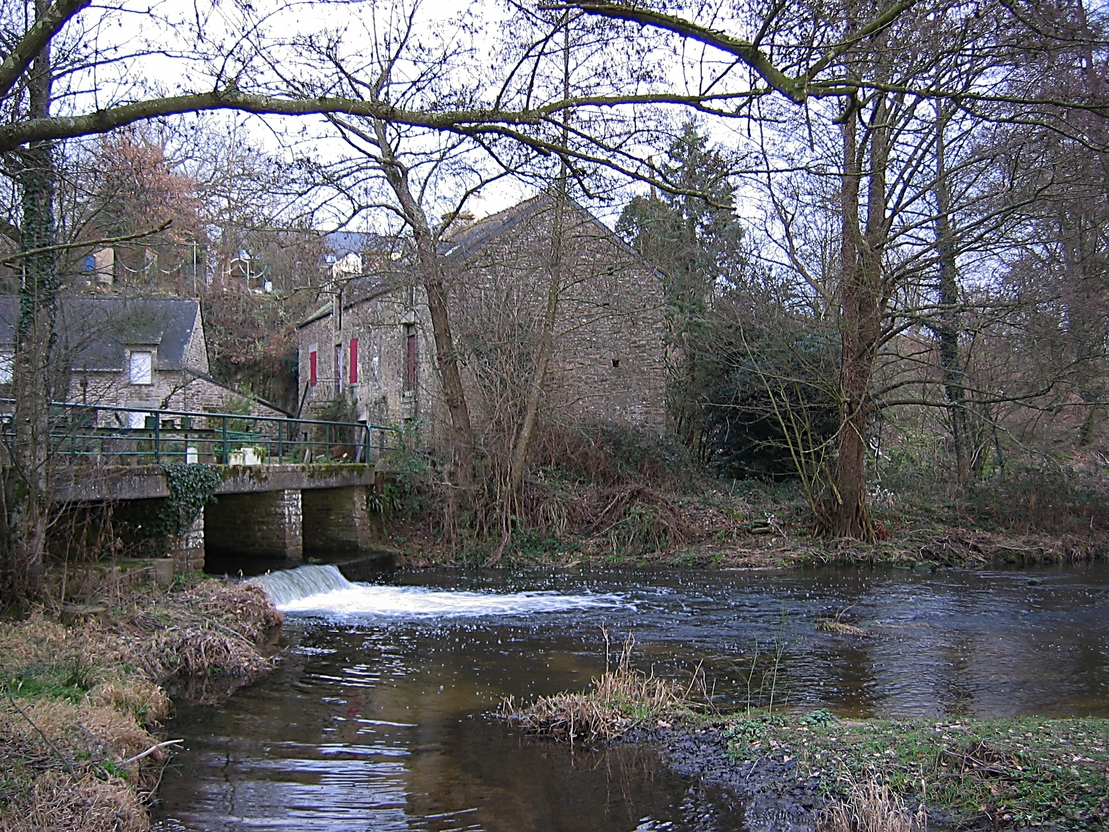 Pluherlin - Le Moulin de Bois-Brhan (10/2006)
