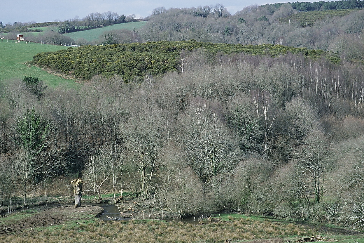 Paysage  Carnly (03/2003)