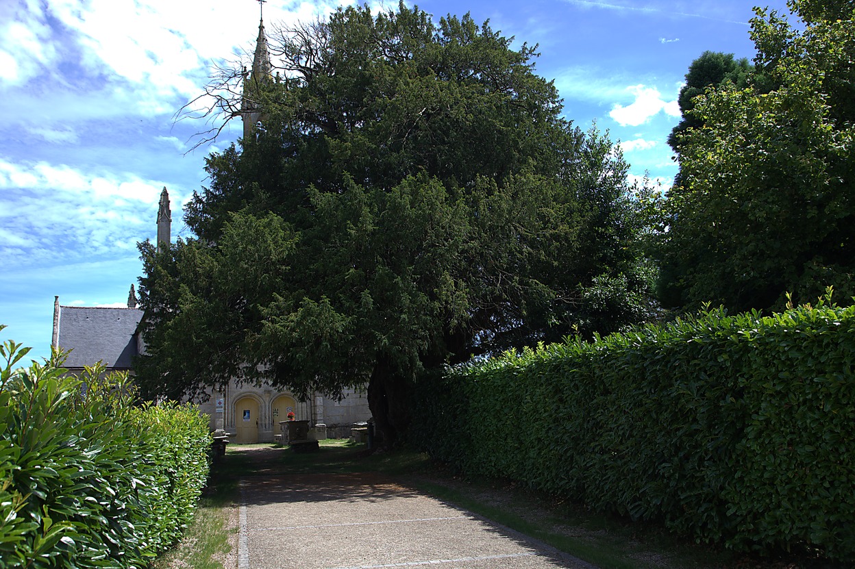 La Chapelle St-Michel (07/2015)