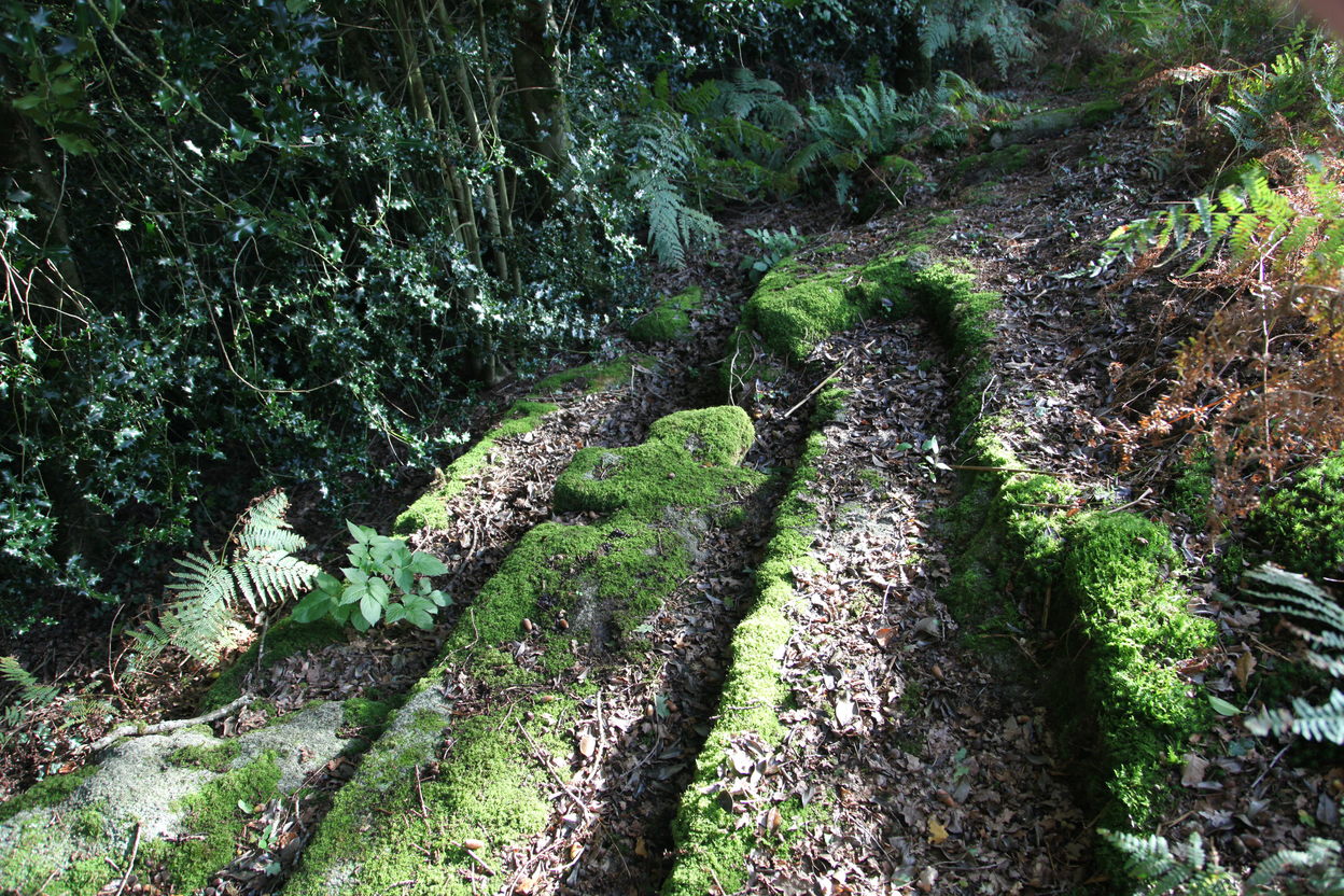 Carrire de Croix au Couedro (A.Gal 67) (09/2017)