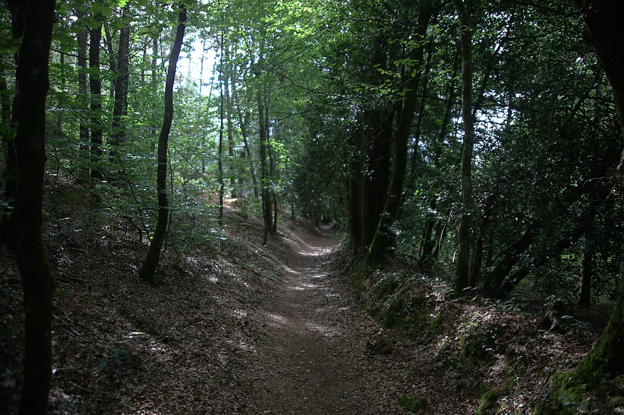 Au Galinio (09/2010)