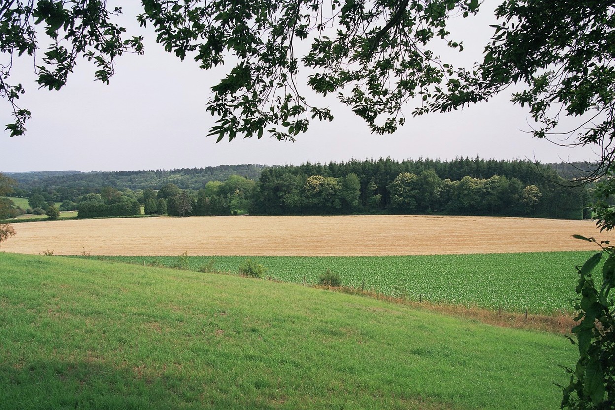 Limerzel - Kerfaz (09/2006)