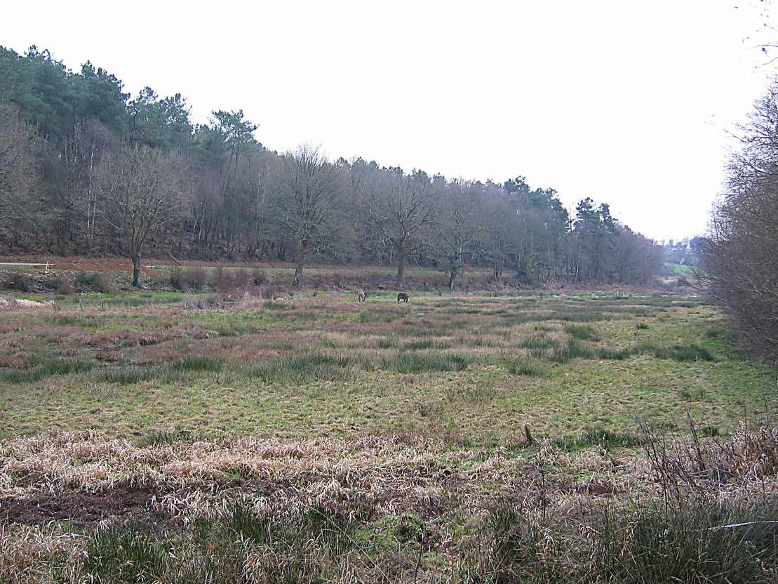 Le Moulin de Lanay (02/2006)