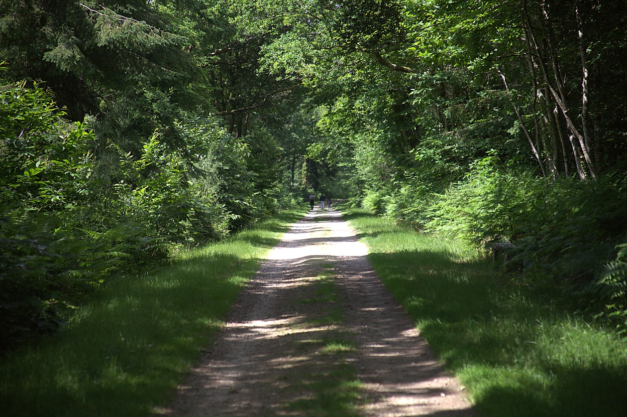 Largoet - Alle (06/2010)