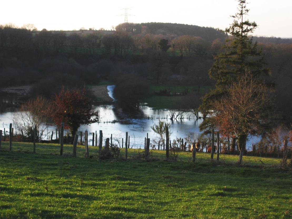 Larr - Les Marais d'Elven (01/2004)