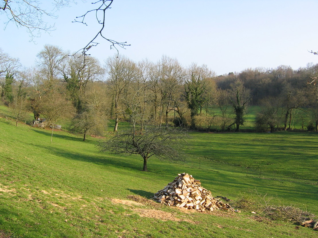 Prairie au Moulin Gl (03/2004)