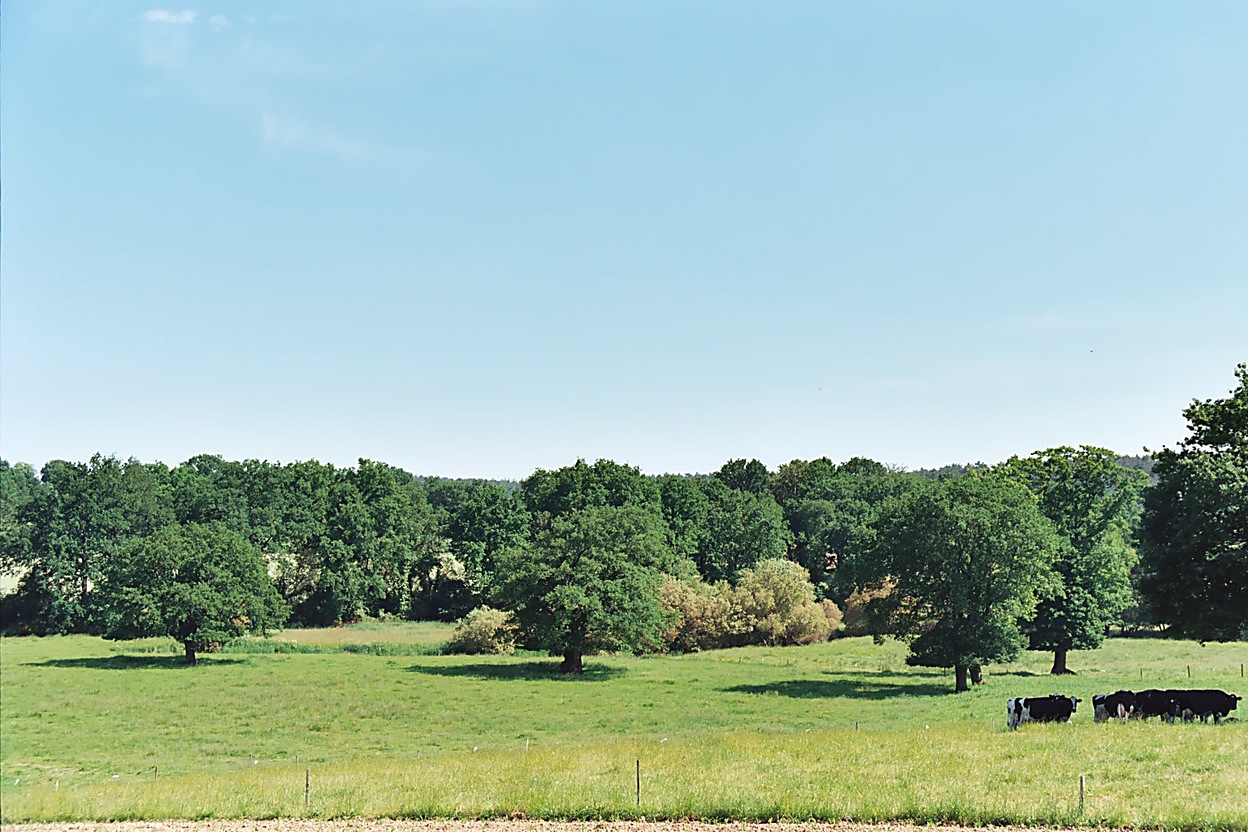 Molac - Pennepont (06/2004)