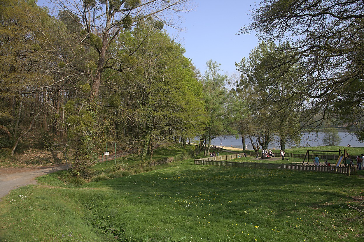 Pluherlin - L'tang du Moulin Neuf (04/2011)