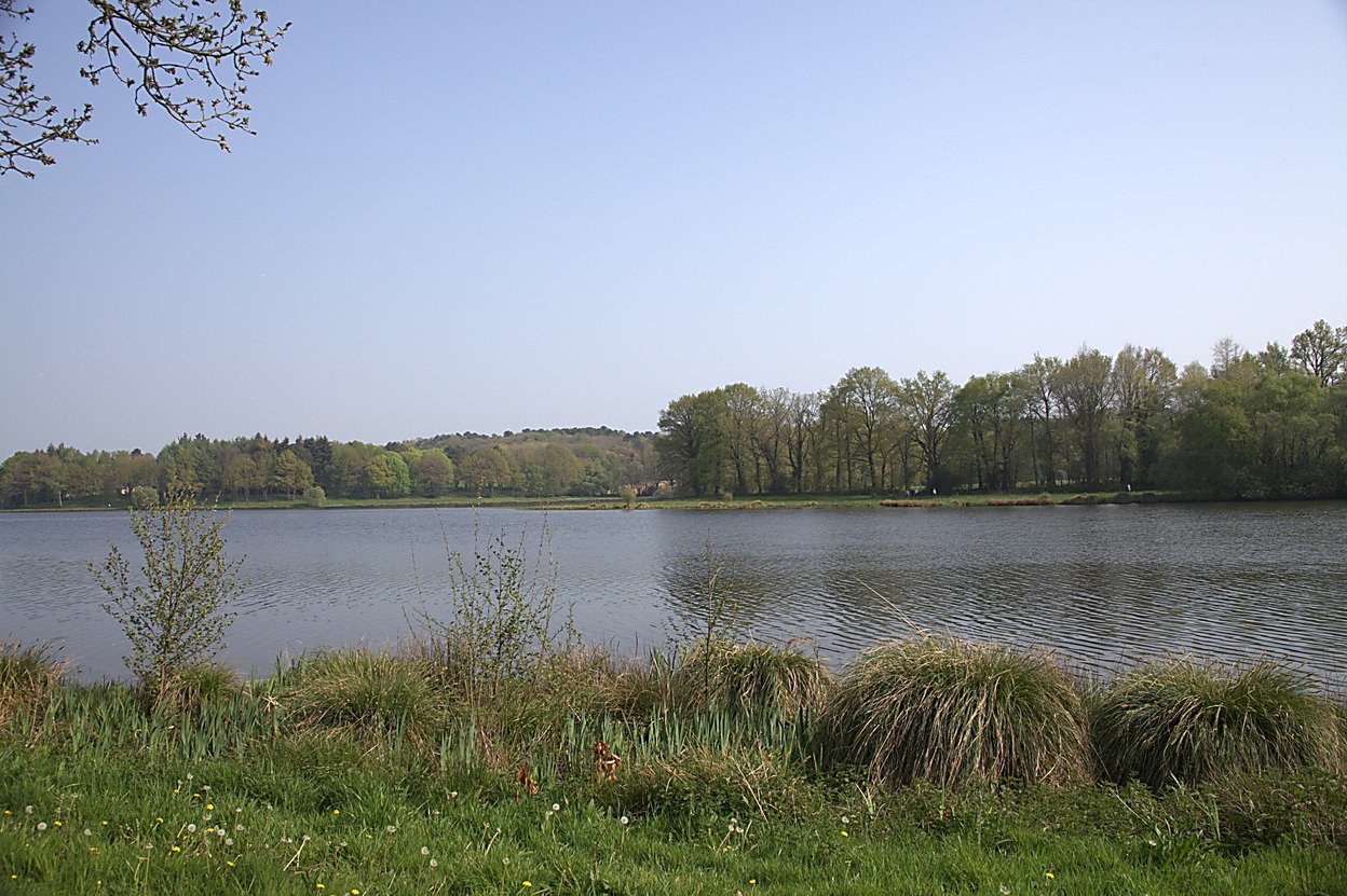 Pluherlin - L'tang du Moulin Neuf (04/2011)