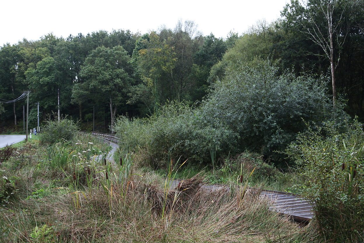 Le Pont  Tan (09/2015)