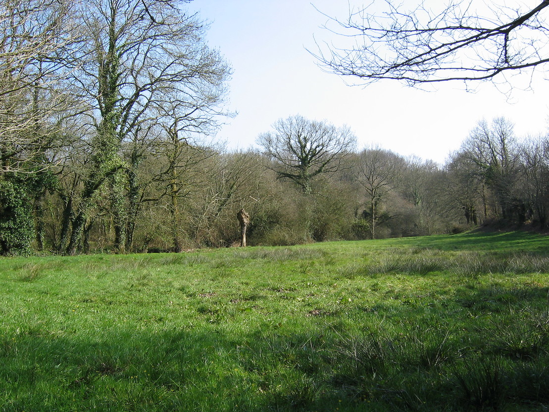 Le Pont-Plat (03/2004)