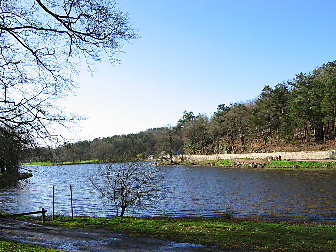 Rochefort - Etang du Moulin Neuf (03/2004)