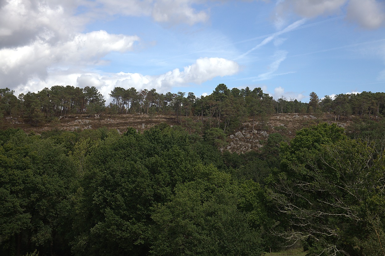Rochefort - Collines (08/2010)